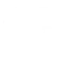 Le sommeil